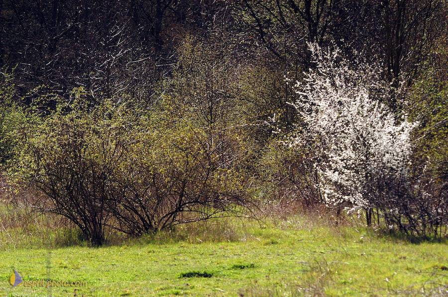 Nom de l'image : D1120237-01_(c)Norbert-JUNG — Description :  PËlerinage de Chartres 2004